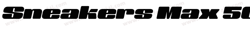 Sneakers Max 500 Light Obl字体转换